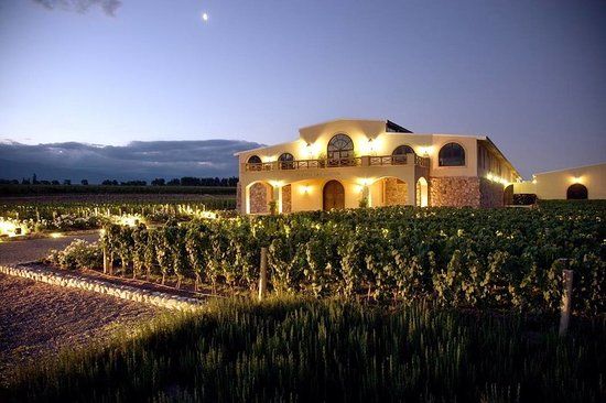 Bodega Piedra Negra