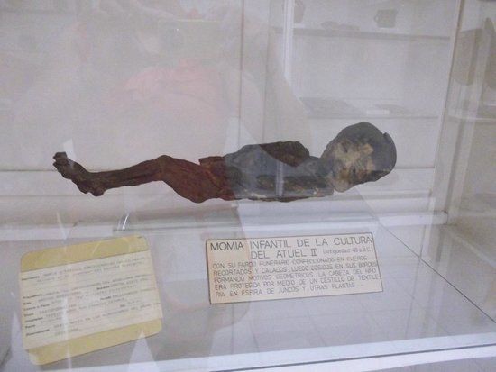 el Museo de Historia Natural de San Rafael