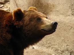 el Zoológico de Mendoza