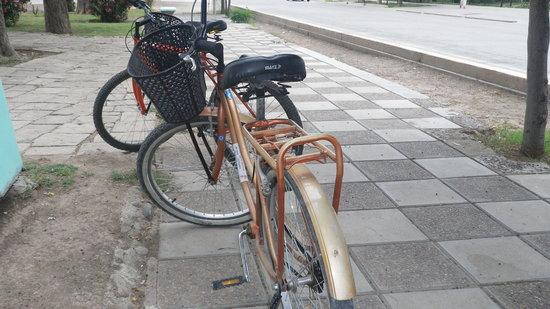 Wine Tour in Bike