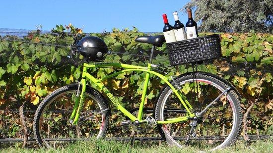 Martin's Bikes