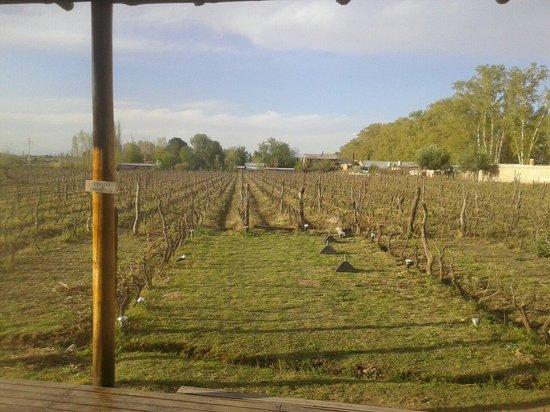 Filosofos Bodega y Resto
