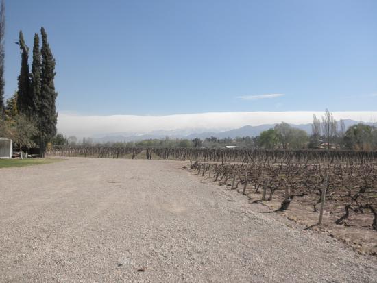 Bodegas Etchart