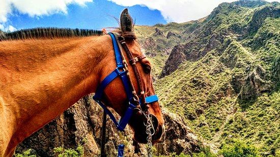 Cabalgatas La Crucecita