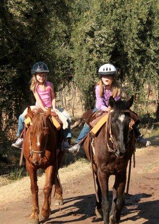 Rancho Viejo Cabalgatas en Mendoza