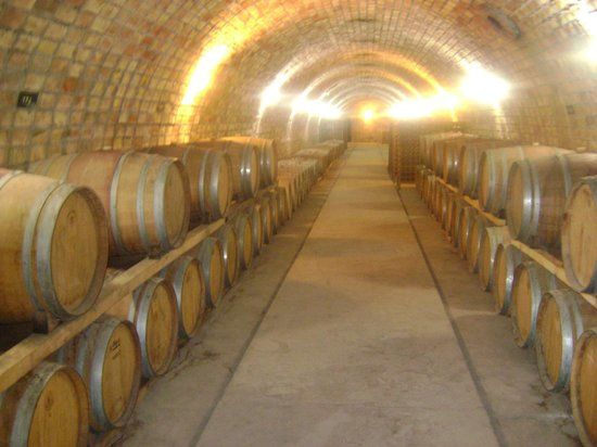 Museo del vino Lungarotti